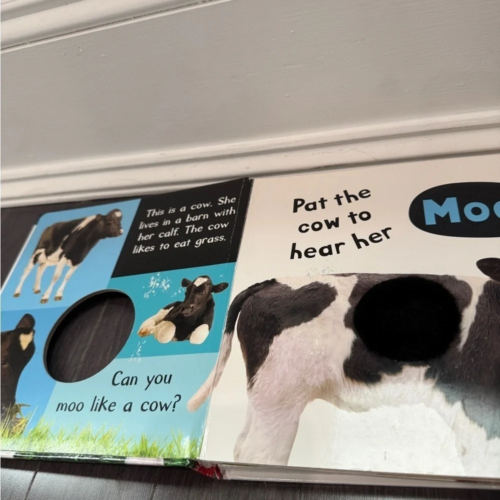 Noisy Farm My First Touch and Feel Sound Book - SOUND DOES NOT WORK Infant Kids